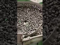 มะเขือเทศทรงกลอง